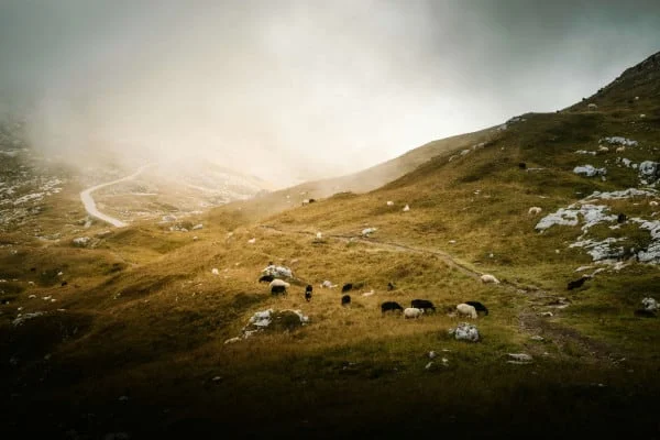 Mangart, Vršič, Trenta valley