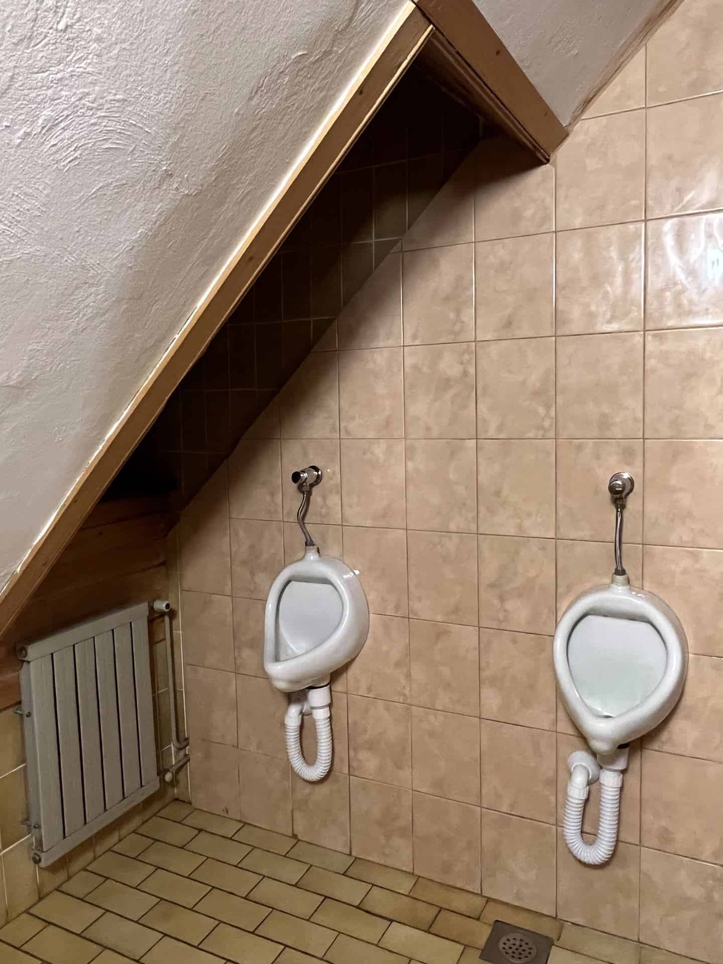 Erjavčeva koča moške sanitarije pred obnonvo