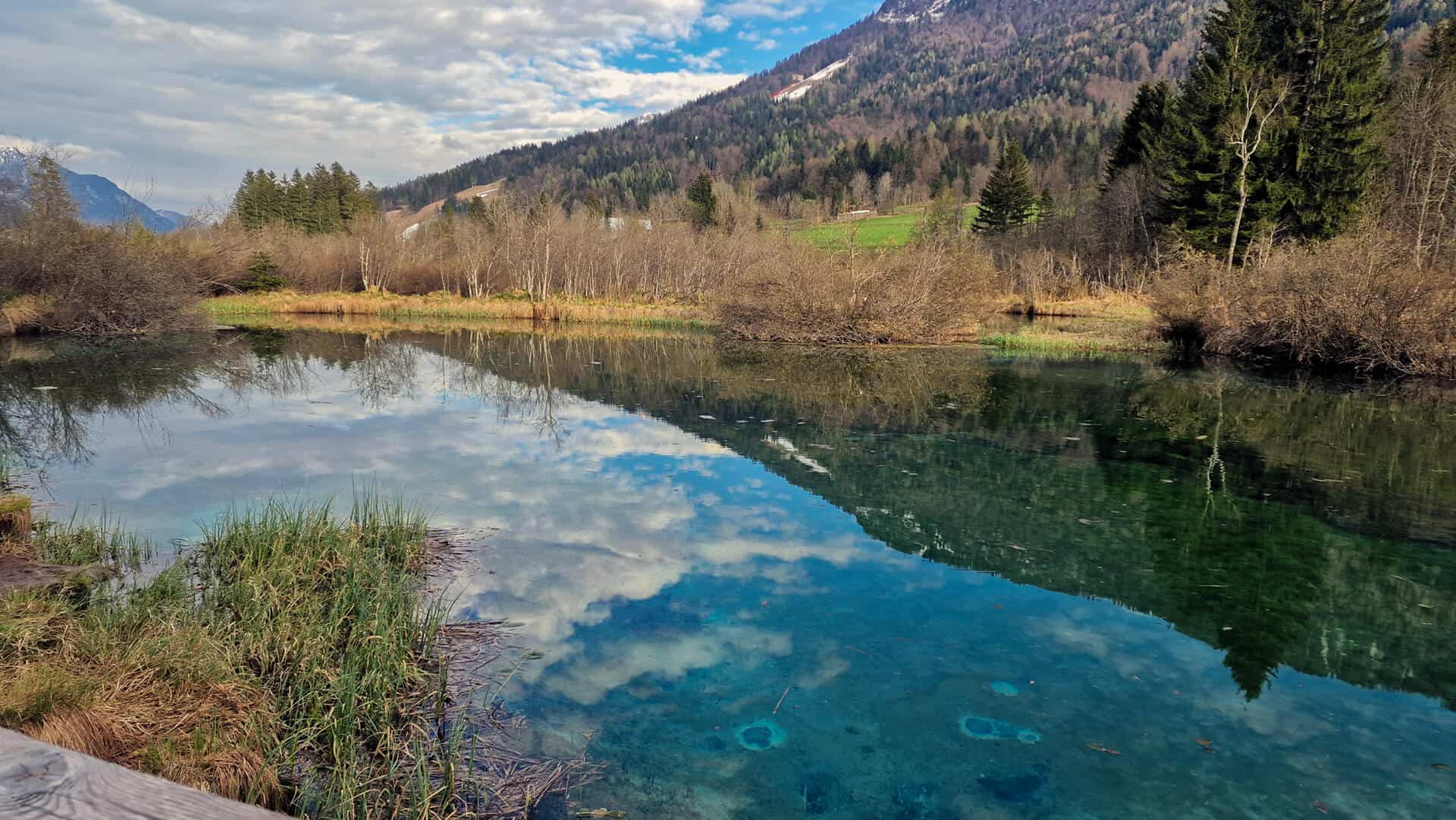 zelenci kranjska gora