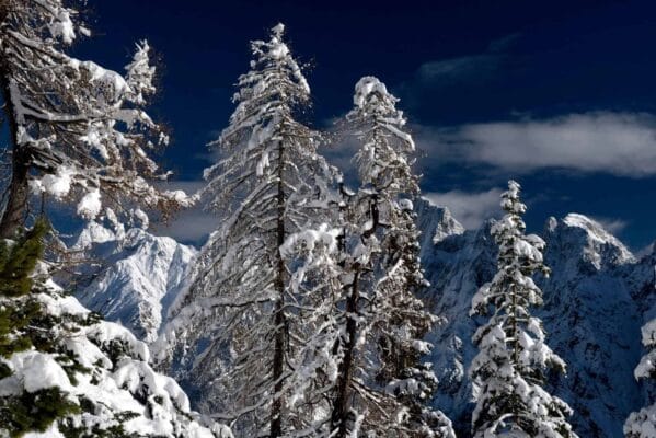 Zlatko Jaklin: Capturing the Soul of Winter on Vršič Pass