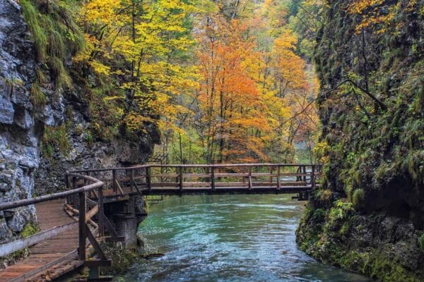 Soteska Vintgar or Vintgar Gorge