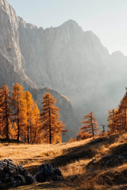 10 Things to Do in Kranjska Gora and Around