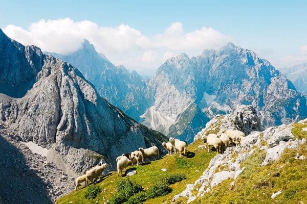 Špik mountain