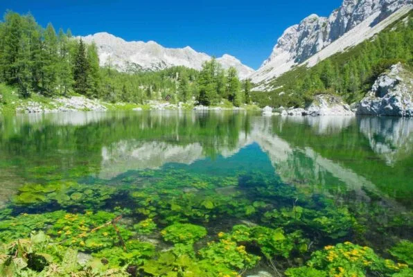 Triglav lakes valley