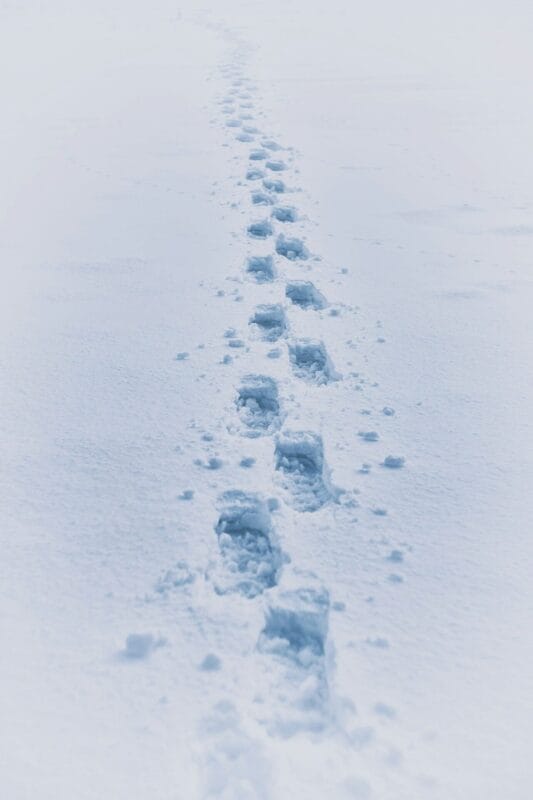 Leave no trace in the mountains