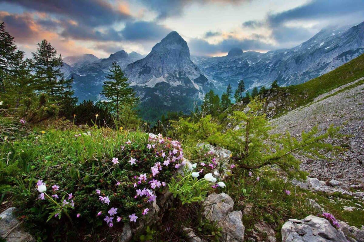 Triglav National Park: Complete Guide to Slovenia’s Alpine Paradise. Triglav National Park Newspaper Winter 2024 2025