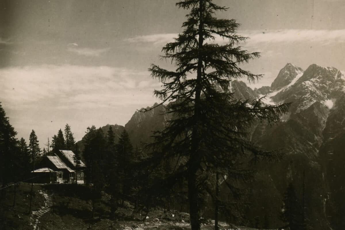 A View from the Stream Towards Erjavčeva koča