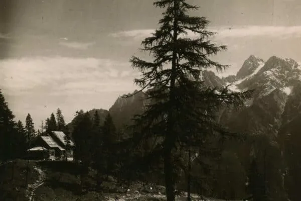 A View from the Stream Towards Erjavčeva koča