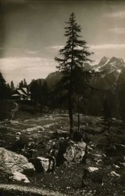 Black and White Postcard from 1900–1920 A View from the Stream Towards Erjavčeva Koča