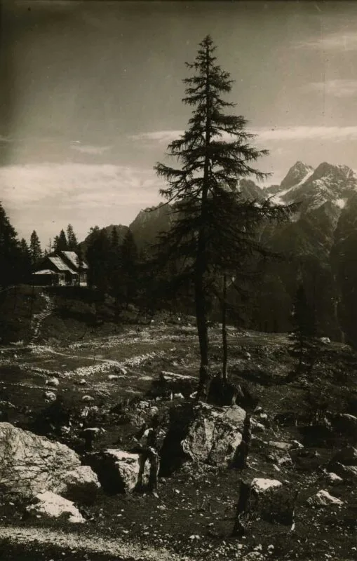 Black and White Postcard from 1900–1920: A View from the Stream Towards Erjavčeva Koča