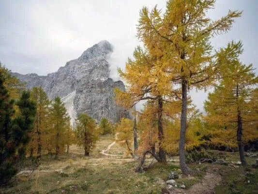 Erjavčeva koča - Slemenova špica - Sleme