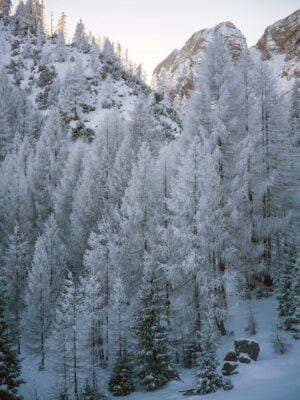 Why Visit the Vršič Pass in Slovenia Near Kranjska Gora in Winter?