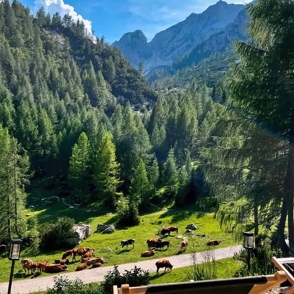 Erjavčeva mountain hut