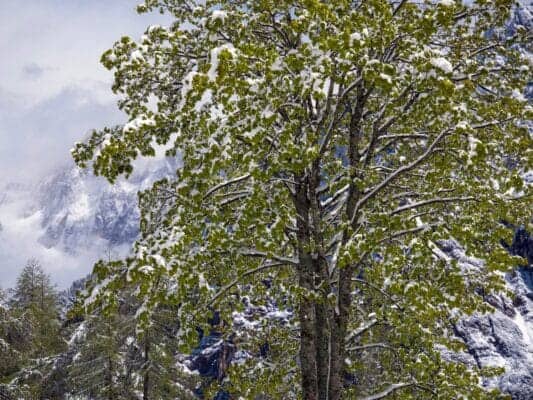 Snow on Vršič on May 12: Why Mountain Weather Changes So Quickly