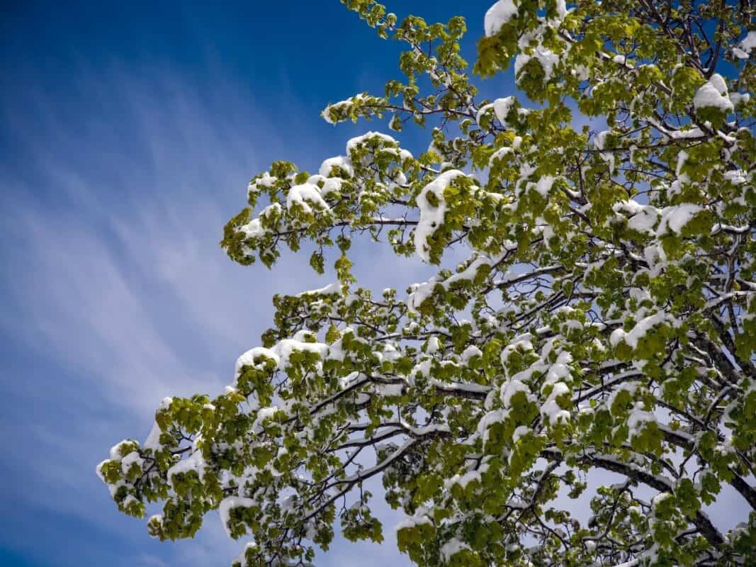 Snow on Vršič on May 12: Why Mountain Weather Changes So Quickly