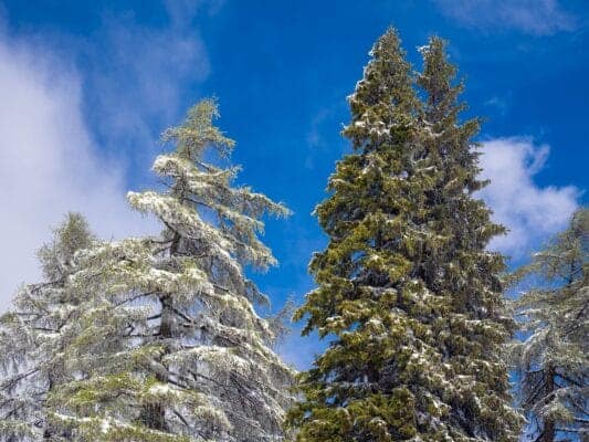 Snow on Vršič on May 12: Why Mountain Weather Changes So Quickly