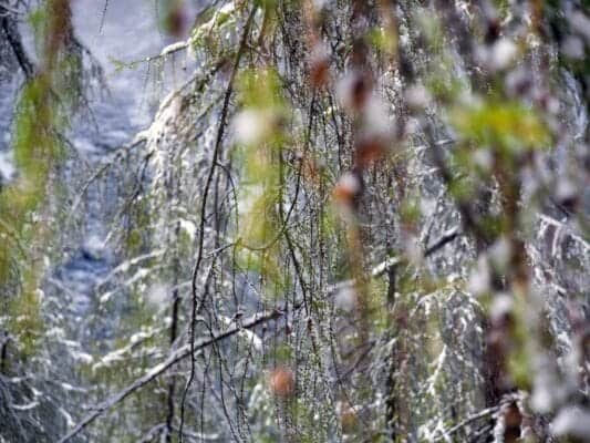 Snow on Vršič on May 12: Why Mountain Weather Changes So Quickly