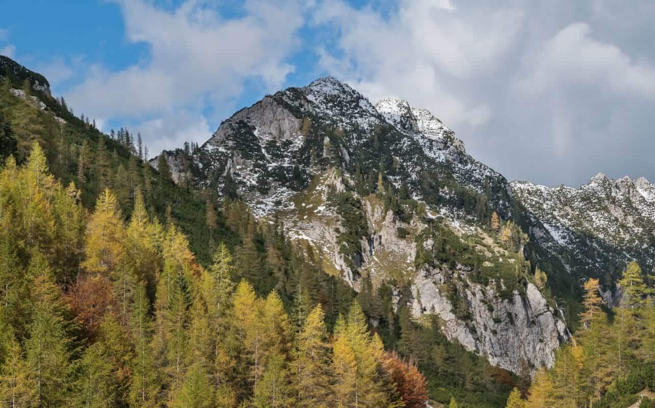Prednje in zadnje Robičje, Slovenia