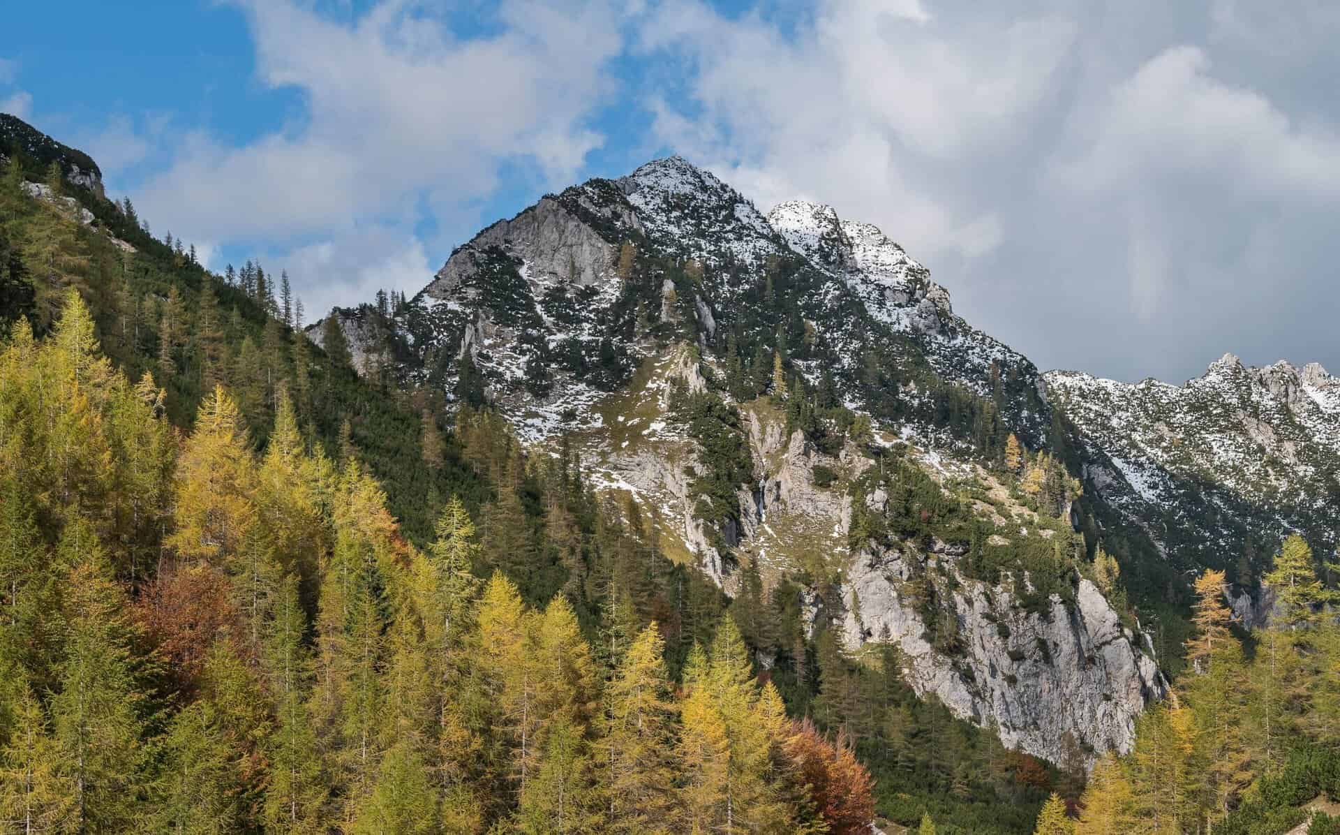 Prednje in zadnje Robičje, Slovenia