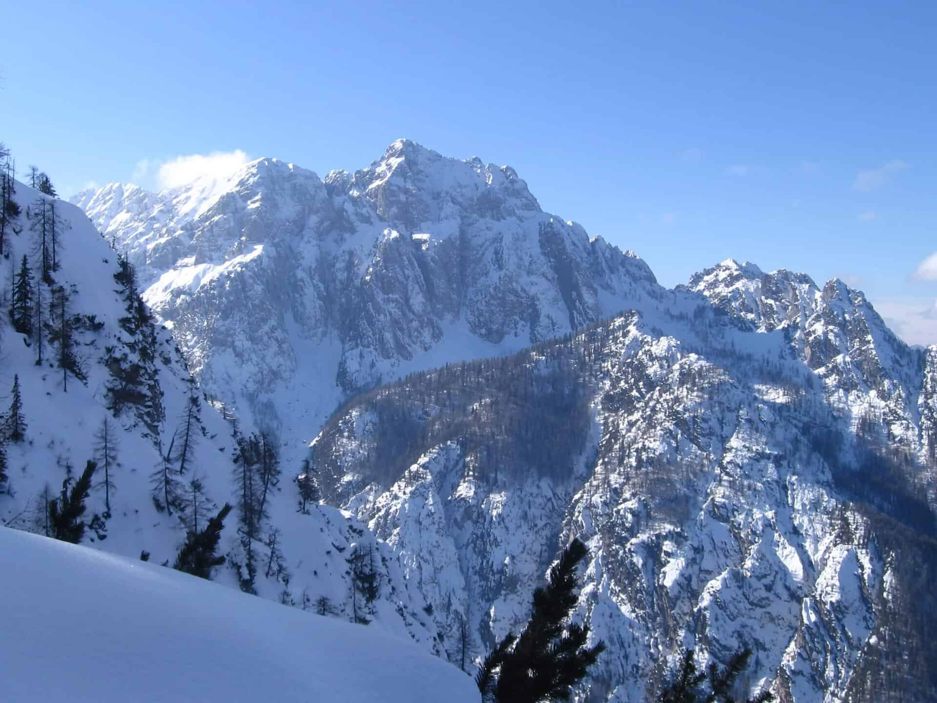 Velika ponca, Slovenia