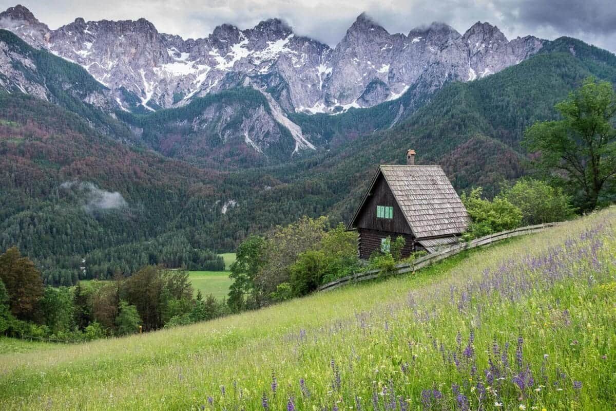 Gozd Martuljek, Srednji vrh, Julian Alps