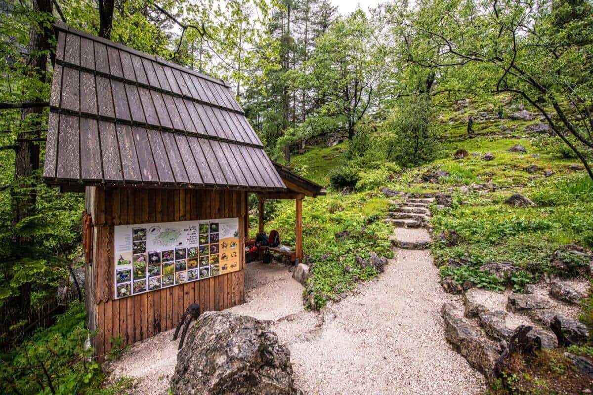 Juliana botanic garden, Slovenia