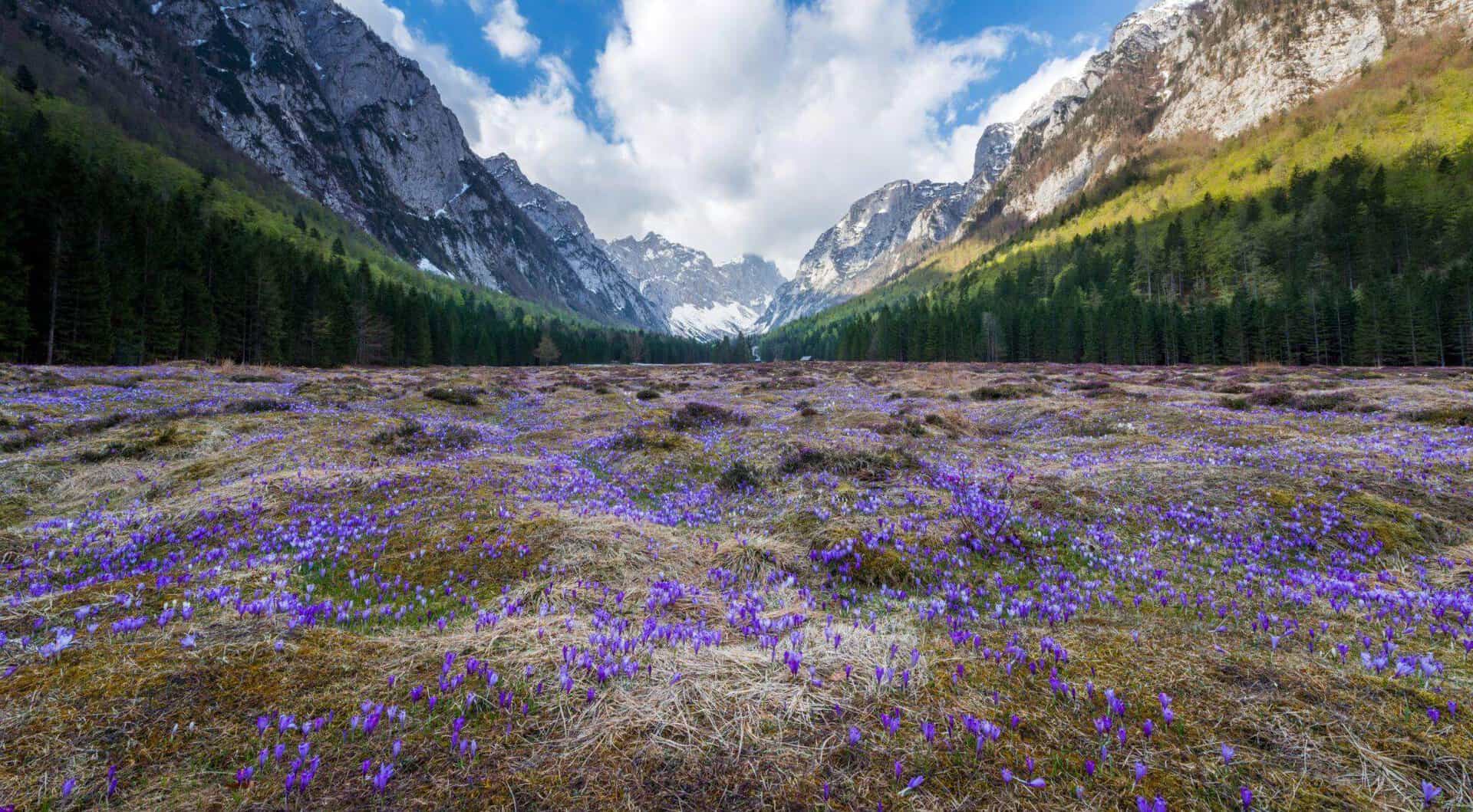 krma valley, Slovenia