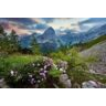 Triglav National Park Newspaper Winter 2024 2025